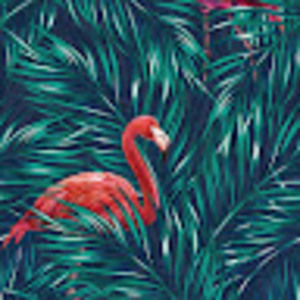 Meet your Posher, Katie-maeve